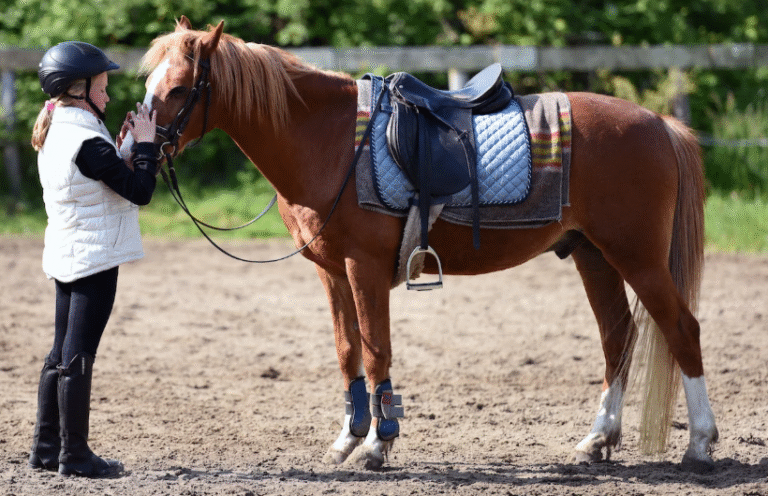 Horse Racing Gear: Essential Equipment for Horses and Jockeys