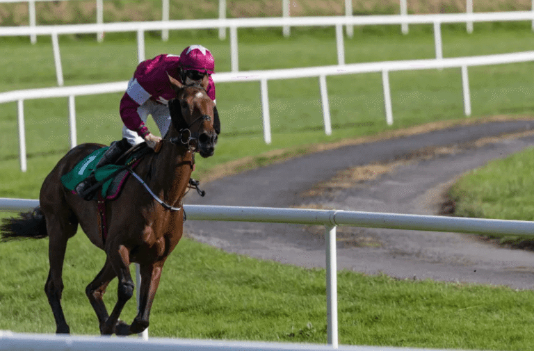 The Legal Side of Horse Racing: Rules and Regulations