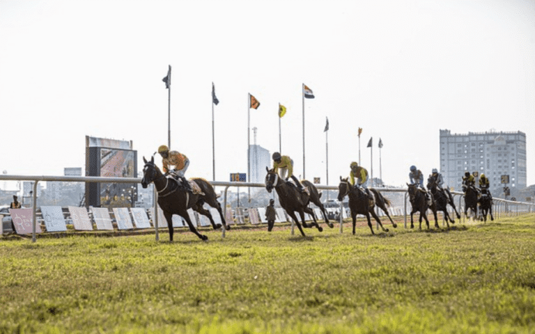 The Impact of Horse Racing on Local Economies